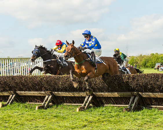 Race 5 - Restricted Race-80