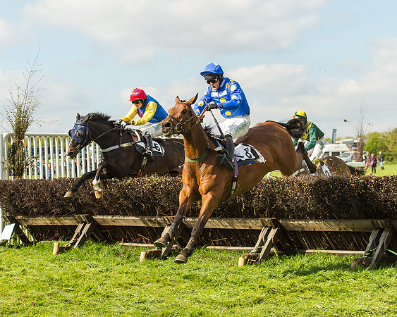 Race 5 - Restricted Race-81