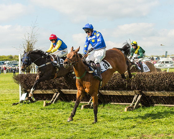 Race 5 - Restricted Race-82