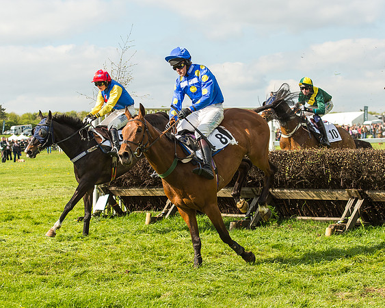 Race 5 - Restricted Race-83