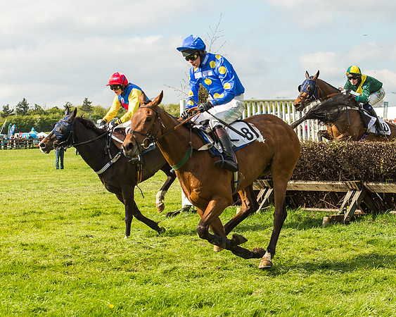 Race 5 - Restricted Race-84