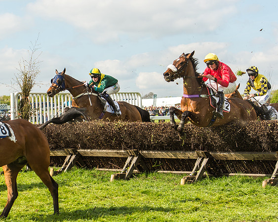 Race 5 - Restricted Race-85