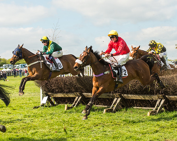 Race 5 - Restricted Race-86