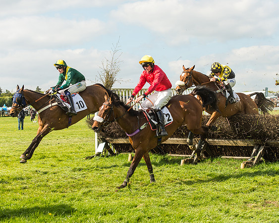 Race 5 - Restricted Race-87