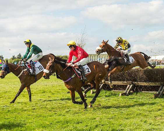 Race 5 - Restricted Race-88
