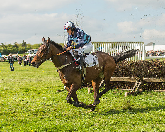 Race 5 - Restricted Race-90