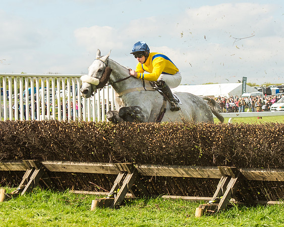Race 5 - Restricted Race-93