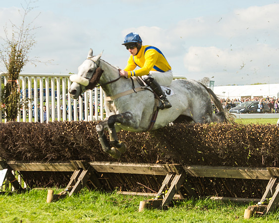 Race 5 - Restricted Race-94