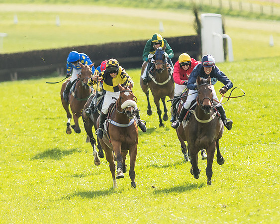 Race 5 - Restricted Race-99