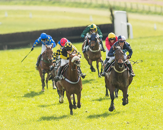 Race 5 - Restricted Race-100