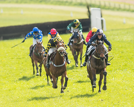 Race 5 - Restricted Race-101