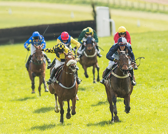 Race 5 - Restricted Race-102