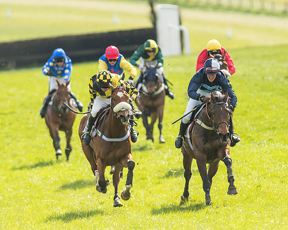 Race 5 - Restricted Race-103