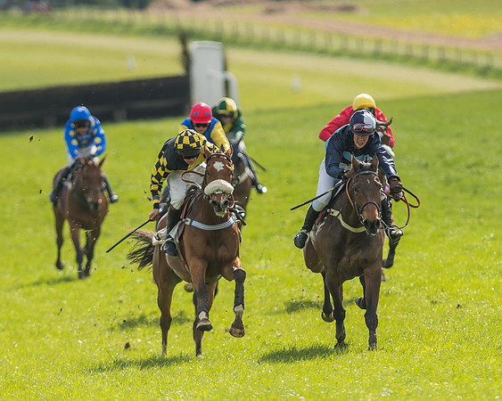 Race 5 - Restricted Race-104