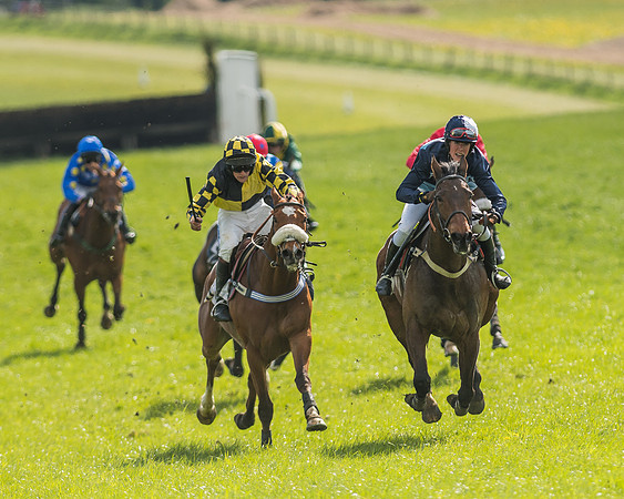 Race 5 - Restricted Race-105