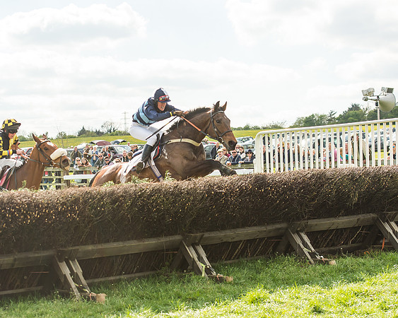 Race 5 - Restricted Race-106