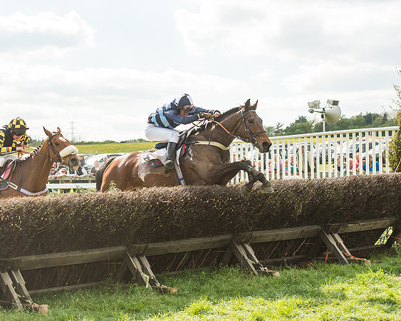 Race 5 - Restricted Race-107