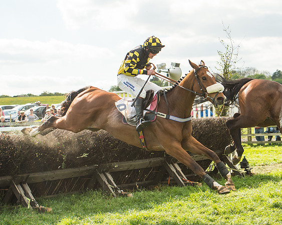 Race 5 - Restricted Race-109