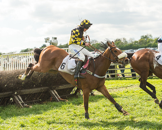 Race 5 - Restricted Race-110