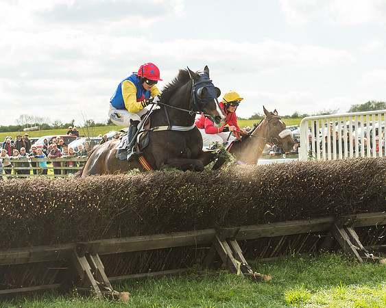 Race 5 - Restricted Race-111