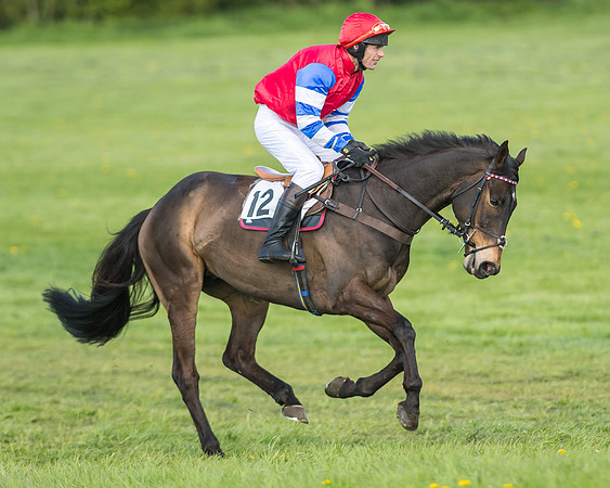 Race 6 - 2m4f Intermediate-3