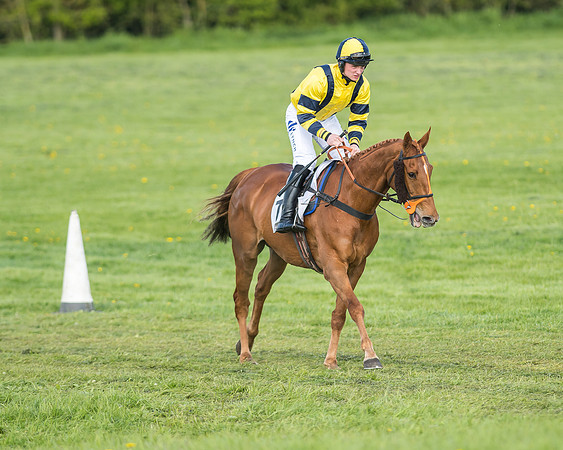 Race 6 - 2m4f Intermediate-5