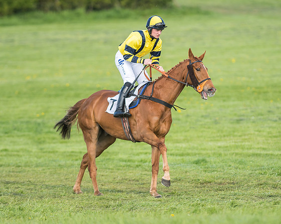 Race 6 - 2m4f Intermediate-6