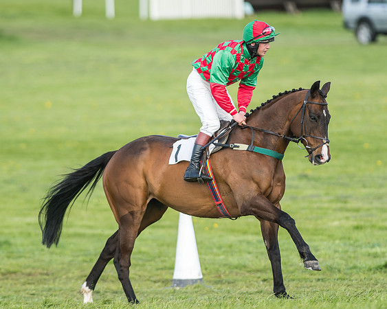 Race 6 - 2m4f Intermediate-7