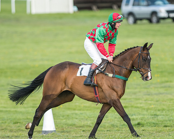 Race 6 - 2m4f Intermediate-8