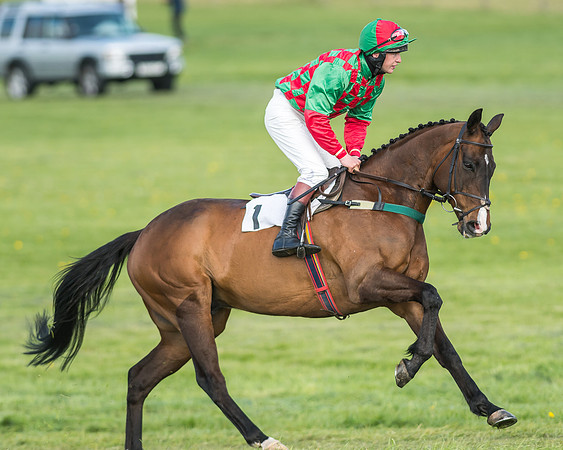 Race 6 - 2m4f Intermediate-9