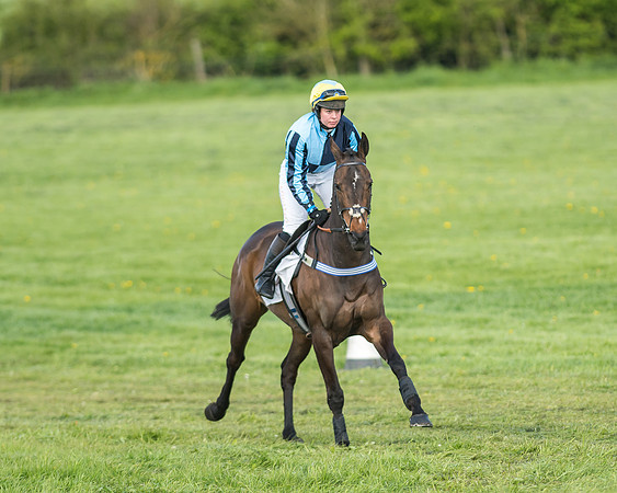 Race 6 - 2m4f Intermediate-12