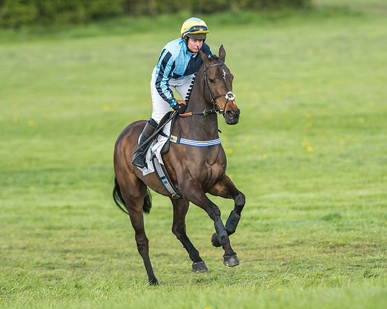 Race 6 - 2m4f Intermediate-13