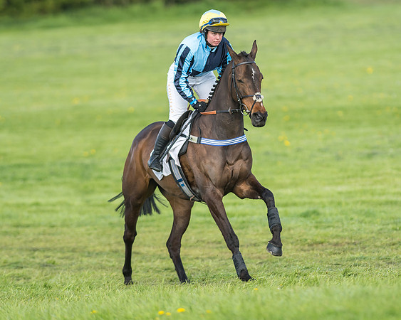 Race 6 - 2m4f Intermediate-14