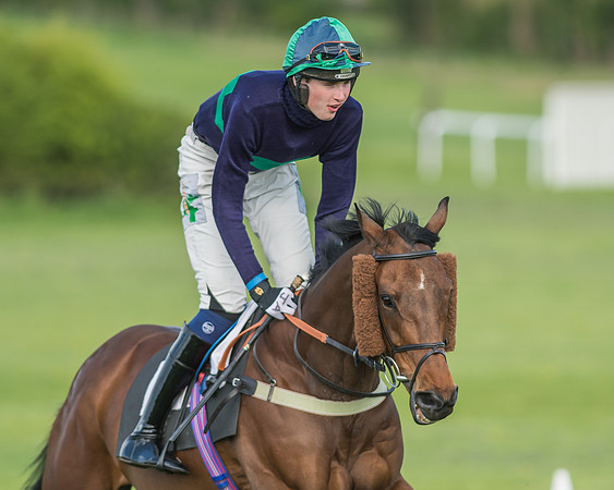 Race 6 - 2m4f Intermediate-24