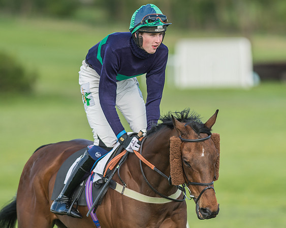 Race 6 - 2m4f Intermediate-25