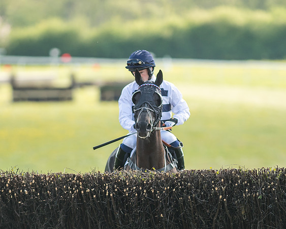 Race 6 - 2m4f Intermediate-33