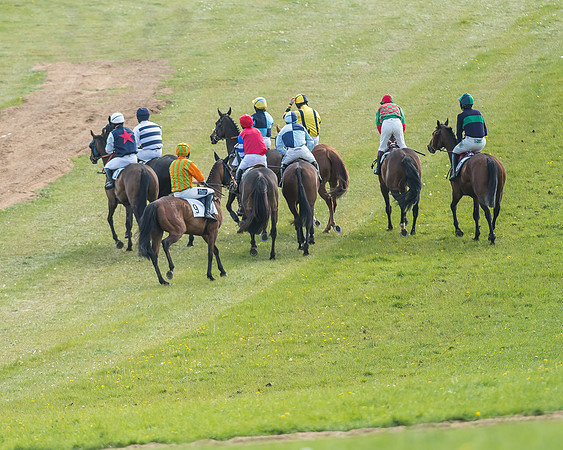 Race 6 - 2m4f Intermediate-36