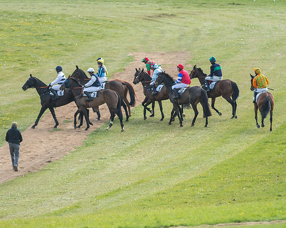 Race 6 - 2m4f Intermediate-37
