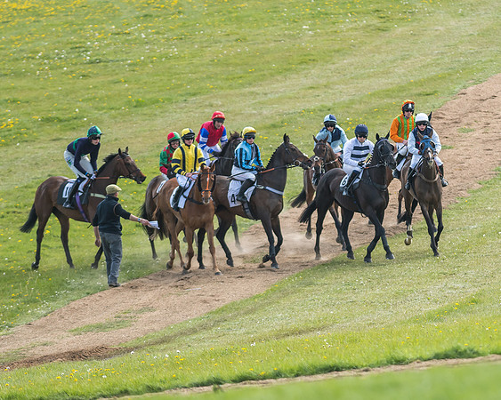 Race 6 - 2m4f Intermediate-39