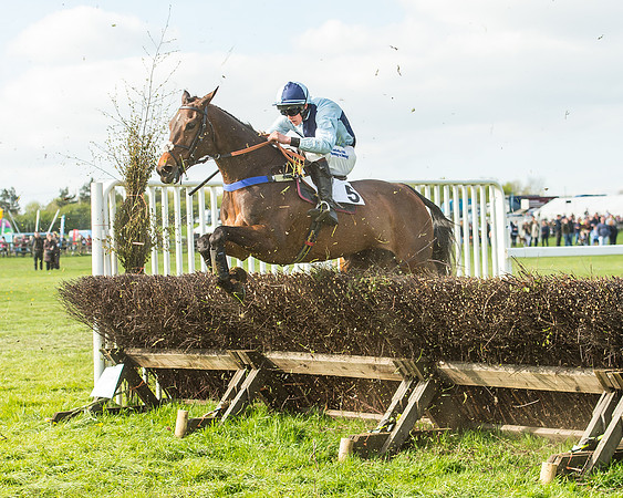 Race 6 - 2m4f Intermediate-96