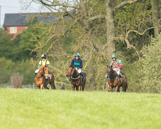 Race 6 - 2m4f Intermediate-117