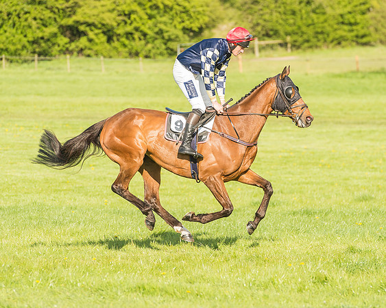 Race 7 - PPORA Conditions -8