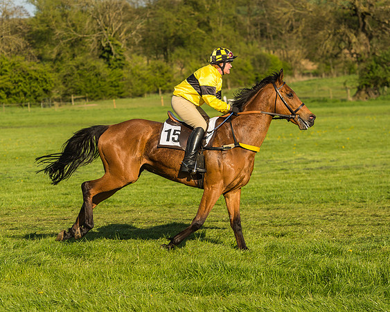Race 8 - Challenge Ride-51