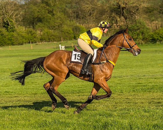 Race 8 - Challenge Ride-52
