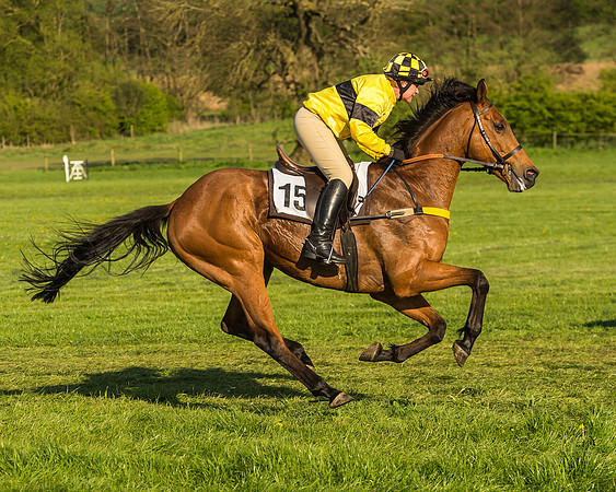 Race 8 - Challenge Ride-53