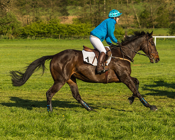 Race 8 - Challenge Ride-66