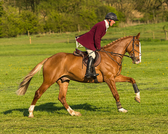 Race 8 - Challenge Ride-69