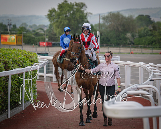 Race 5 - Mares Open Hunter Steeplechase 3m2f 70y (46 of 269)