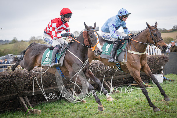 Race 6 - The Restricted Race (61 of 101)