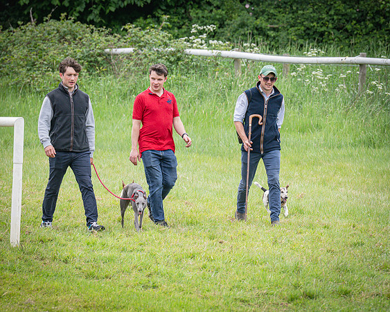 Race 2 - The Restricted race (5 of 84)